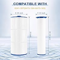 Vista 3 de 6541-397 Pool Spa Filter Compatible with 2009-2023 Sundance 880 Spa Filter (Outer 6473-165 and Inner 6473-164), Replacement for Sundance 880 Filter