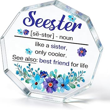 for Sister from Sisters Friendship Gifts for Women Friend Soul Sister Sisterhood Gift Birthday Blue Purple Flowers Seester Ornament