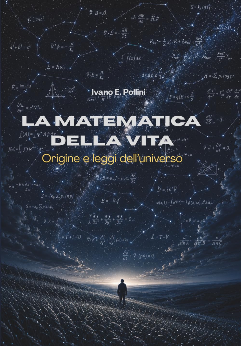 La matematica della vita: Origine e leggi dell'universo