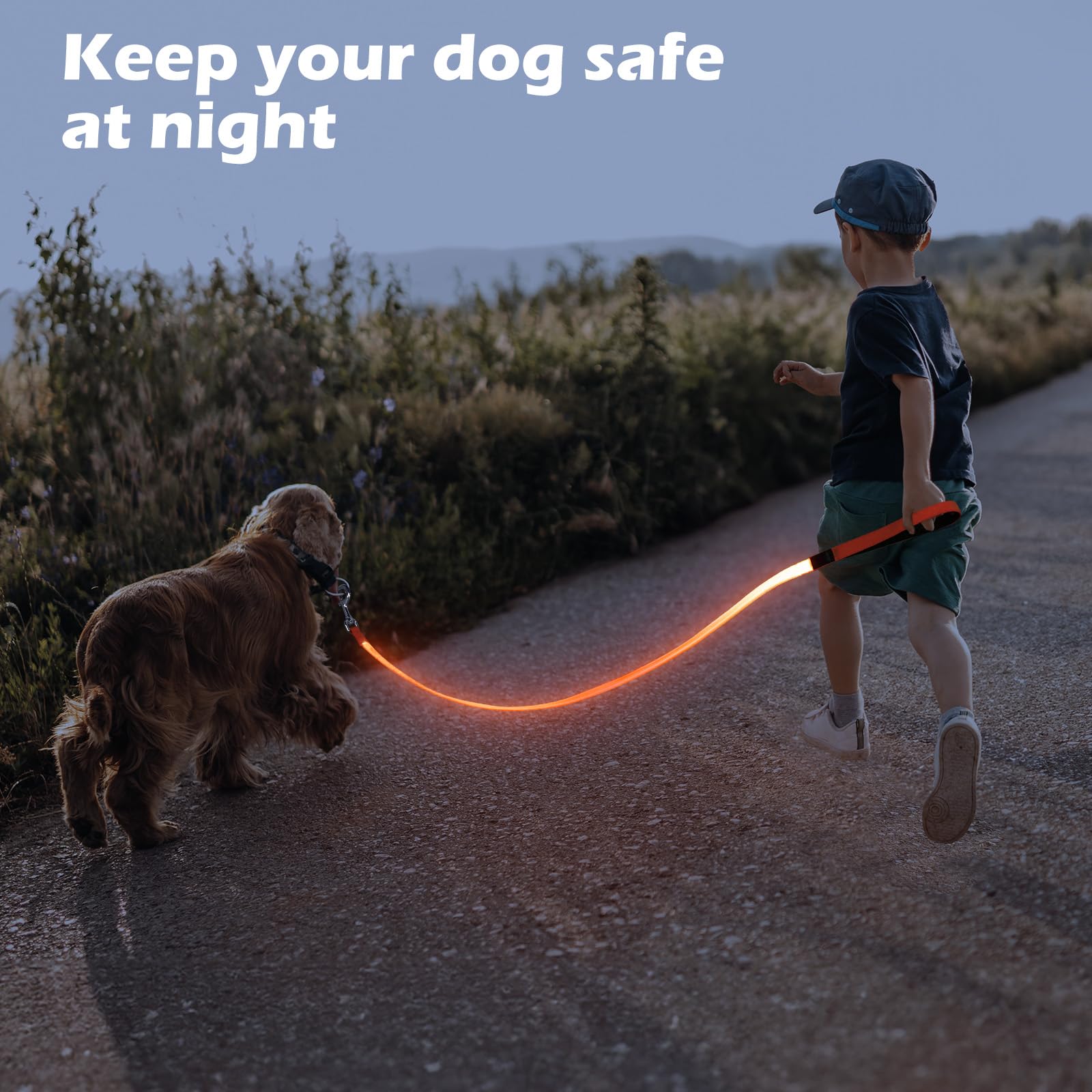 Correa LED para perro, correa de nailon recargable micro USB, correa de seguridad estándar para perros de 4 pies (naranja)