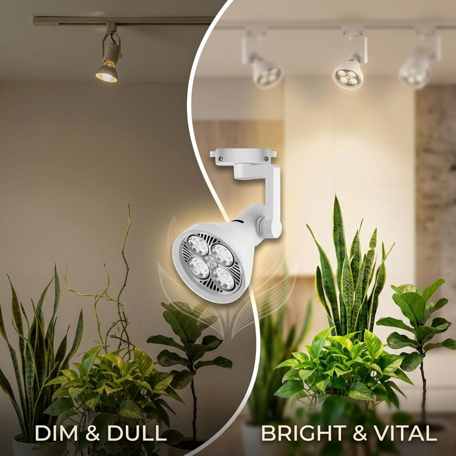 2 Pcs 55W LED Grow Lights, 3000K Warm Full Spectrum, Aluminum Alloy Track Plant Spotlight, Horn Style Grow Light for Indoor Plants, Flowers