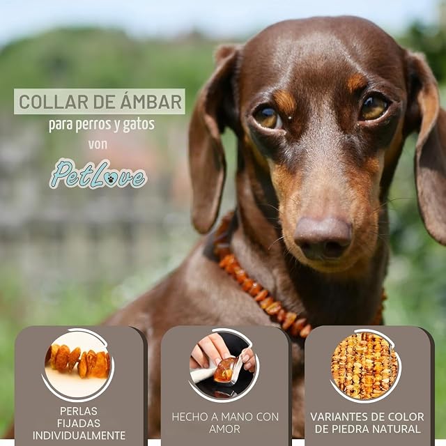 Foto 3 de 6 de Collar antipulgas PetLove para Perros y Gatos • 100% ámbar báltico • Collar antipulgas para Perros • Collar…