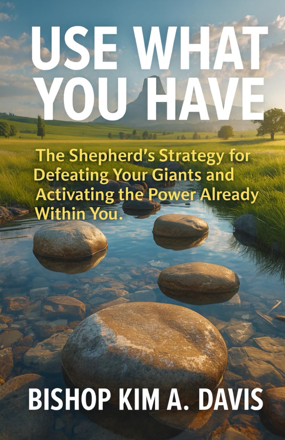 Use What You Have: The Shepherd's Strategy for Defeating Your Giants and Activating the Power Already Within You