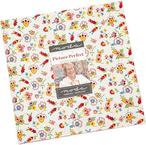 Moda Fabrics Picture Perfect Layer Cake, cuadros de tela precortados de 42 a 10 pulgadas por American Jane