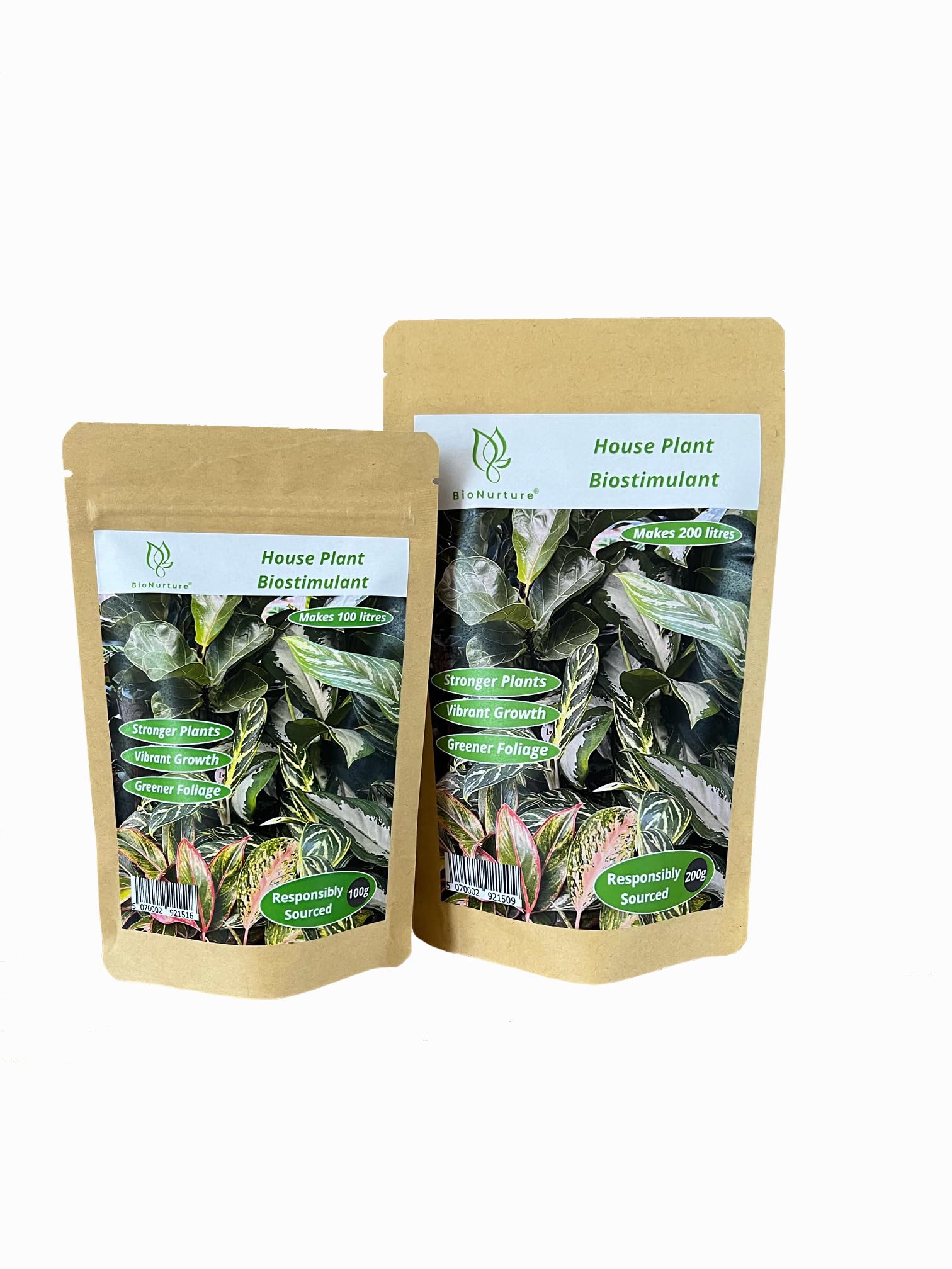 BioNurture House Plant Biostimulant, 100% Natural Fertiliser. Indoor House Plant Food for Growing Vibrant and Healthy Plants (100g)