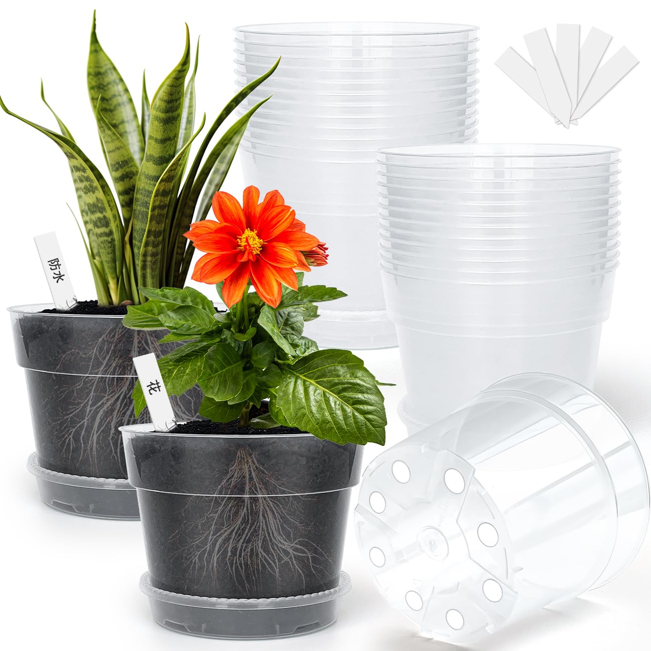 Amazon.co.jp: 透明プランター 5号 植木鉢 15個セット、 排水穴 鉢底