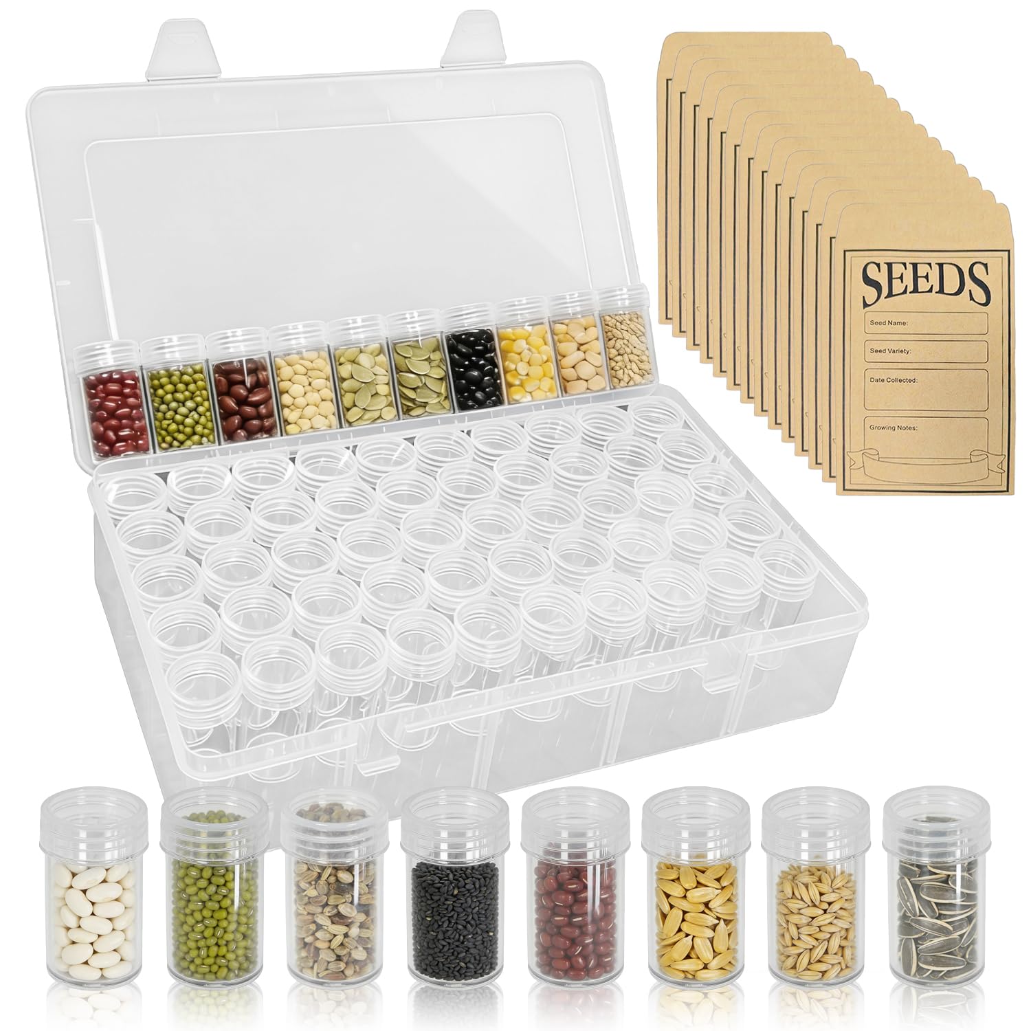 60 Rangement Graines Potager Rond Seed Box Boîtes pour Grosses Grainezs Boite Robuste et Durable Comprend 50 Sachet Craft Adapté Au Stockage de Grains de Café Haricots Mungo et Céréales
