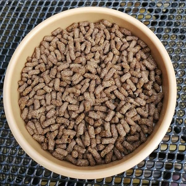 Brambles Semi-Moist Hedgehog Food, 1.3 kg - 2
