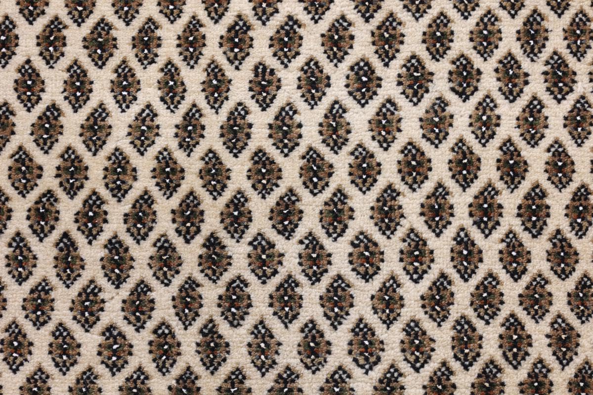 Top-Angebot: Sarough Mir 81 x 369 cm Hand Knotted Oriental Rug Runner Rug India Wool 15 Handgeknüpfte Perserteppiche & Orientteppiche Wien (Österreich) | Hamburg (Deutschland) | New York | Los Angeles (USA), gratis Versand Europaweit nach Frankreich, Italien, Schweiz, Niederlande, Spanien, Schweden, Belgien, Österreich, Norwegen, Dänemark, Polen, Irland, Finnland, Portugal, Tschechien, Griechenland, Ungarn, Rumänien 71ce6e9YN+L. AC SL1200 Handgeknüpfte Perserteppiche & Orientteppiche Wien (Österreich) | Hamburg (Deutschland) | New York | Los Angeles (USA), gratis Versand Europaweit nach Frankreich, Italien, Schweiz, Niederlande, Spanien, Schweden, Belgien, Österreich, Norwegen, Dänemark, Polen, Irland, Finnland, Portugal, Tschechien, Griechenland, Ungarn, Rumänien