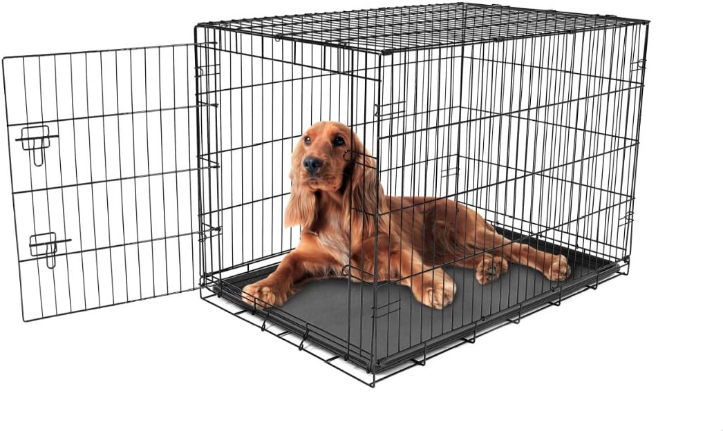 intermediate dog kennel