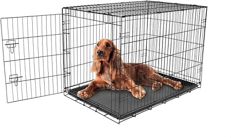 secure dog crate