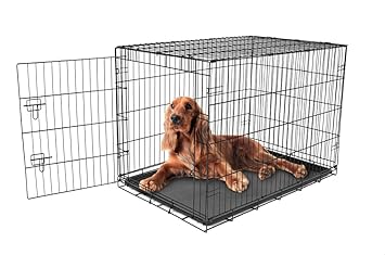 Carlson Secure and Compact Single Door Metal Dog Crate, Intermediate