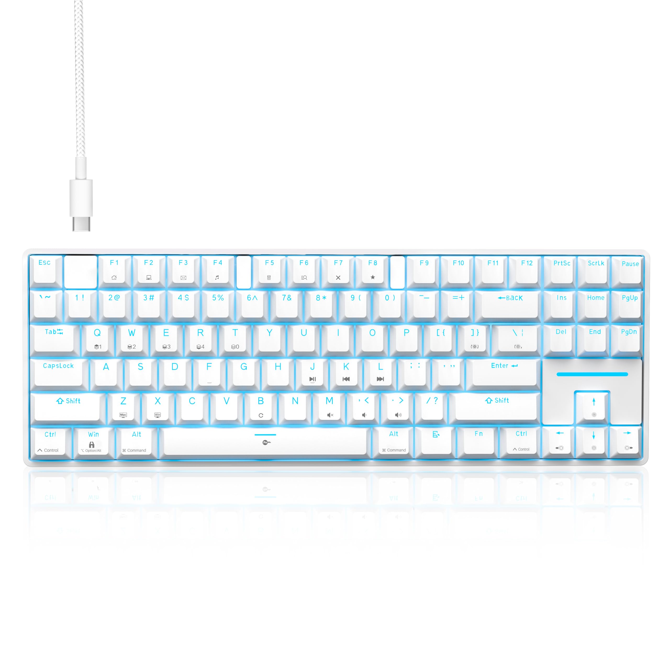TMKB T87SE TKL Tastiera meccanica, Tastiera Cablata con Interruttori Clicky Blu, LED Retroilluminazione, Type-C Mini Compatti 87 Tasti Anti-Ghosting per PC Mac OS, Layout US, Bianca