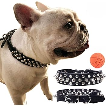 great pyrenees spiked collar