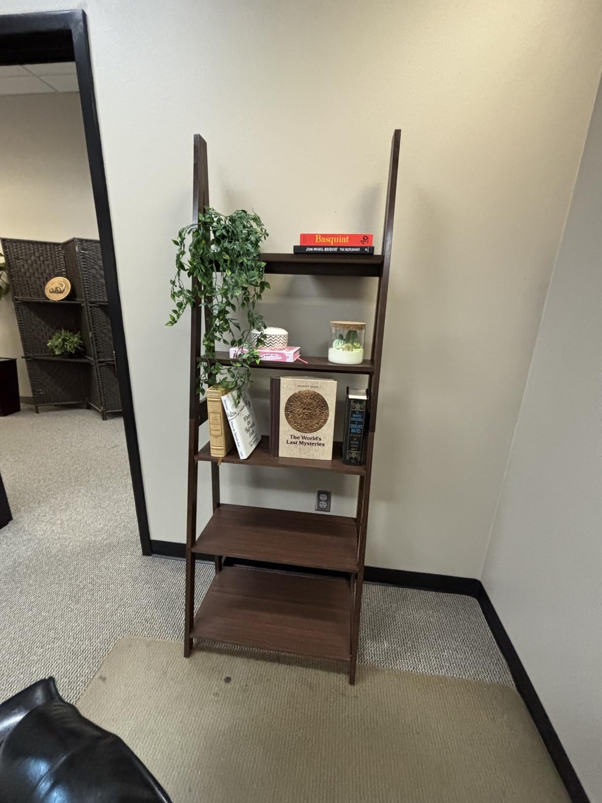 Amazon Basics 5-Tier Ladder Bookshelf customer photo
