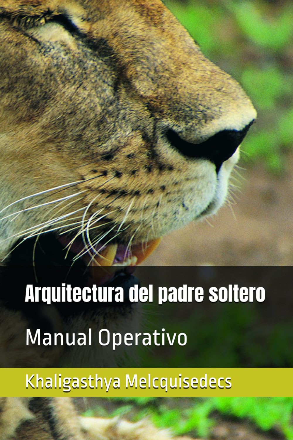 Arquitectura del padre soltero: Manual Operativo