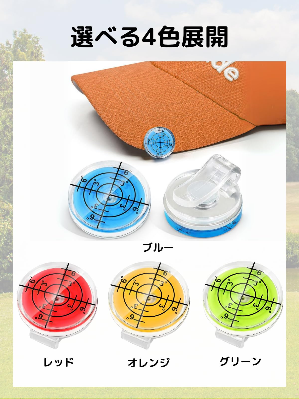 ミーナさん確認用ページ 年齢確認ページを表示したい – カラーミーショップ ヘルプセンター