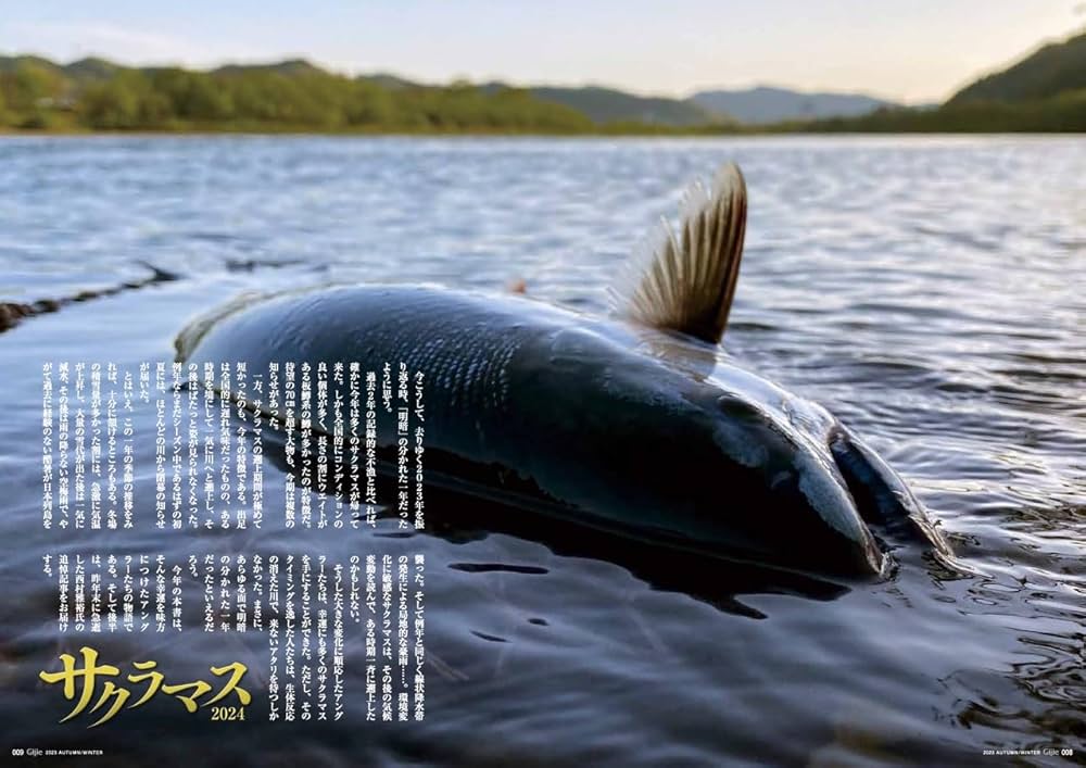 サクラマス釣り引退セット① 71cYXTbWKKL.jpg