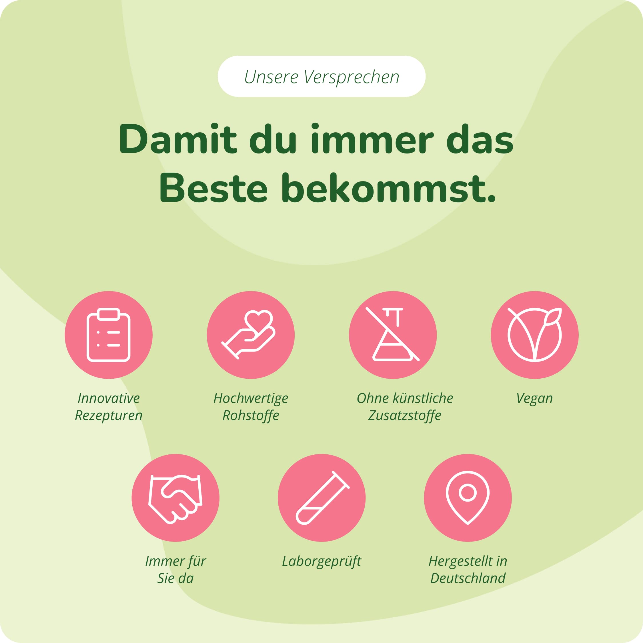 Vegavero Green Supreme – Greens Pulver 270g mit über 20 Superfoods, Pflanzenextrakten & Vitalpilzen – Immunsystem stärken, Energie & Detox - Mit Ballaststoffen & Probiotika, vegan