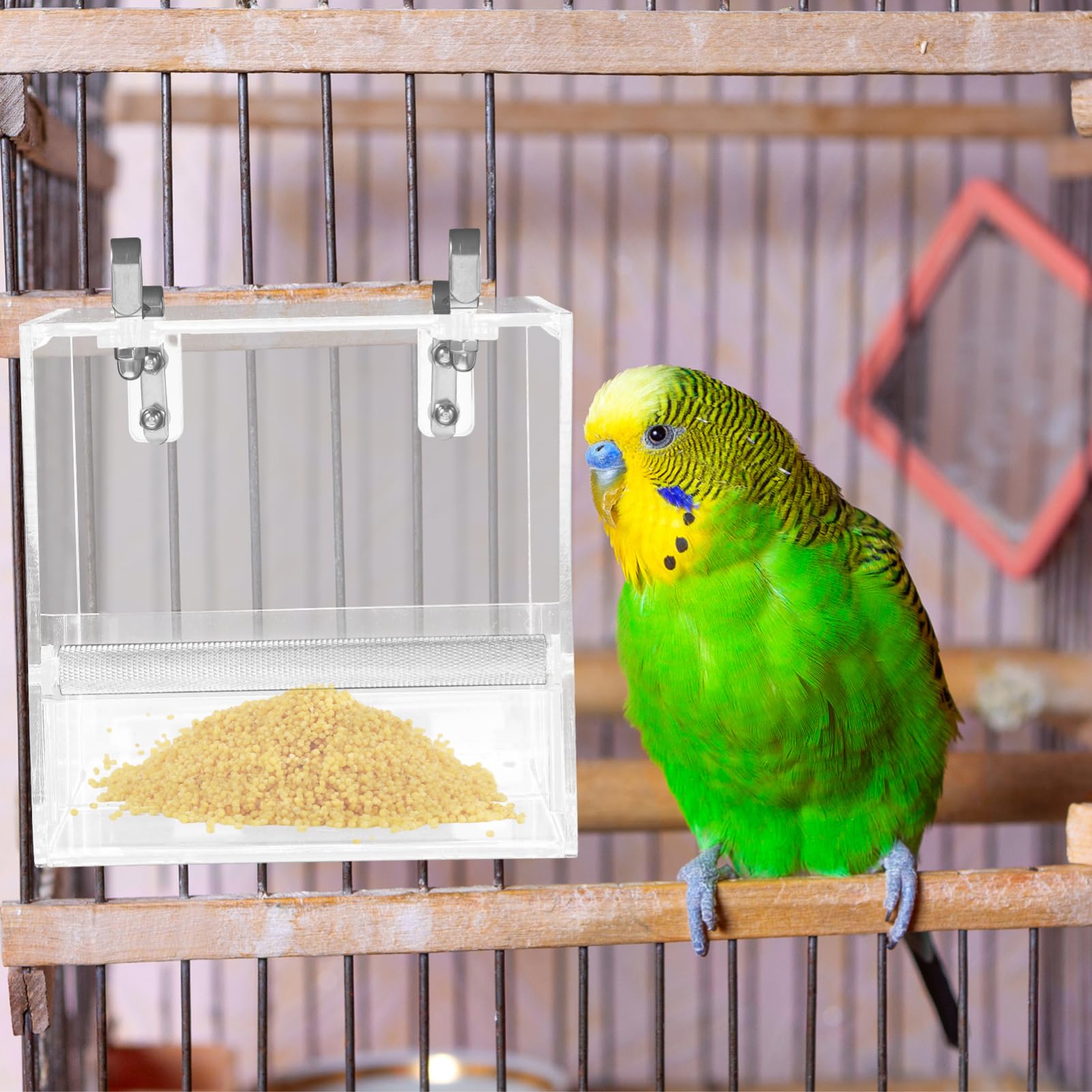 Mangeoire à Oiseaux Automatique pour Perroquet en Plastique
