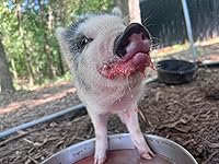 Review Image by Christan Smith Christan Smith