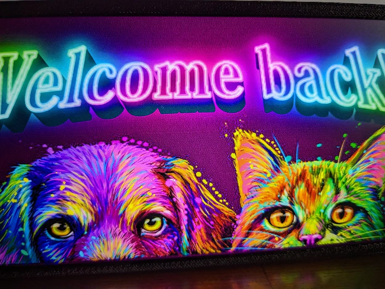 ワンちゃん 猫ちゃん おかえり サイン 看板 雑貨 LED2wayライトBOX Amazon.co.jp: ワンちゃん ネコちゃん 犬 猫 ドック キャット おかえり