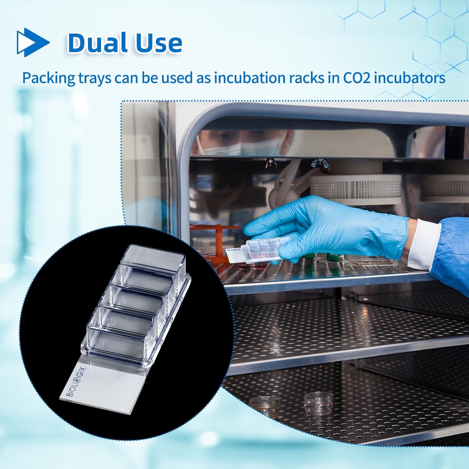Cell Culture Chamber Slide, 4-Well, PS Frame, Glass Slide, PP Holder, Sterile, Pack of 6