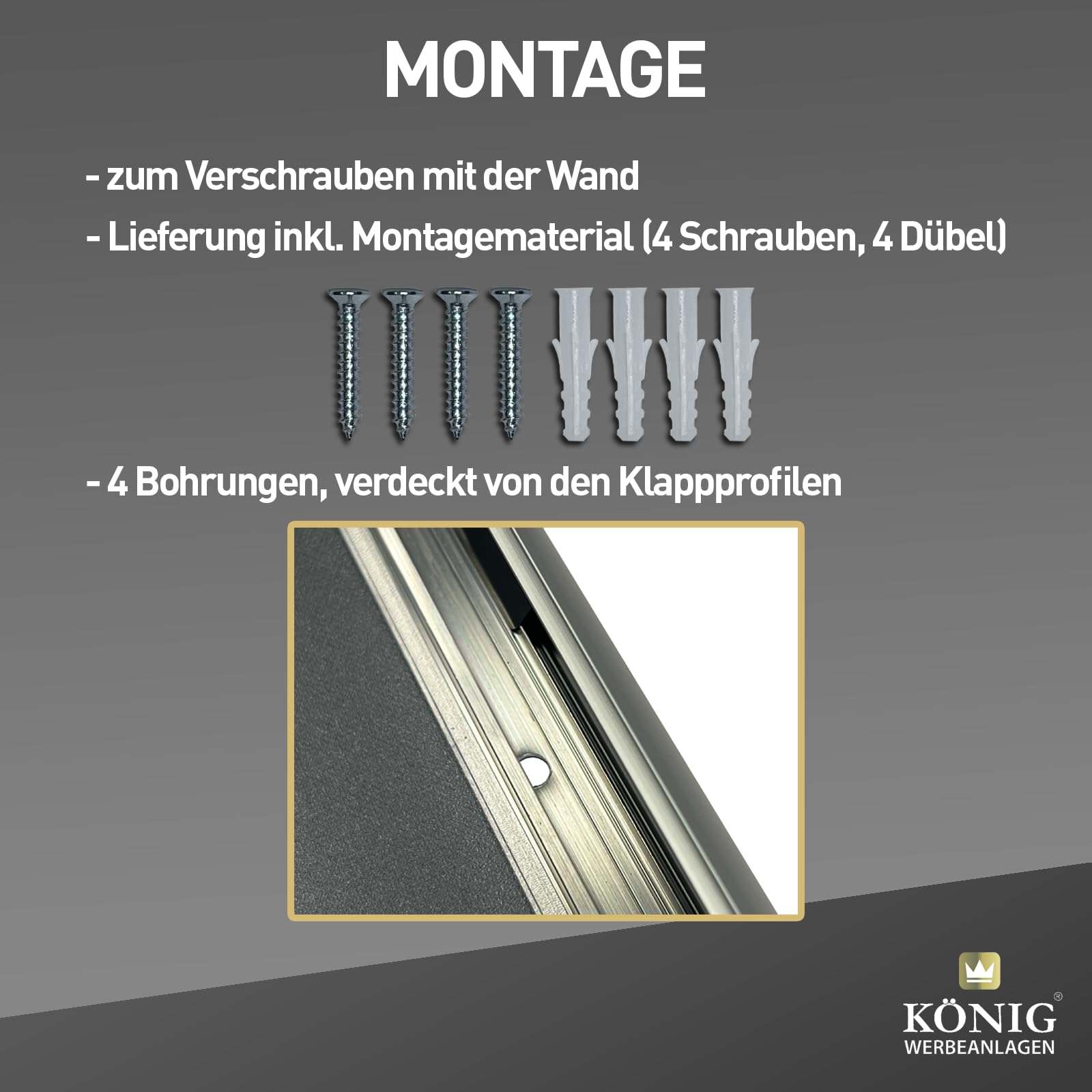 Dreifke 10 Plakatrahmen DIN A4 | 25mm Aluminium Profil, silber | inkl. entspiegelter Schutzscheibe | Alu Klapprahmen Wechselrahmen Posterrahmen | 10er Sparpack