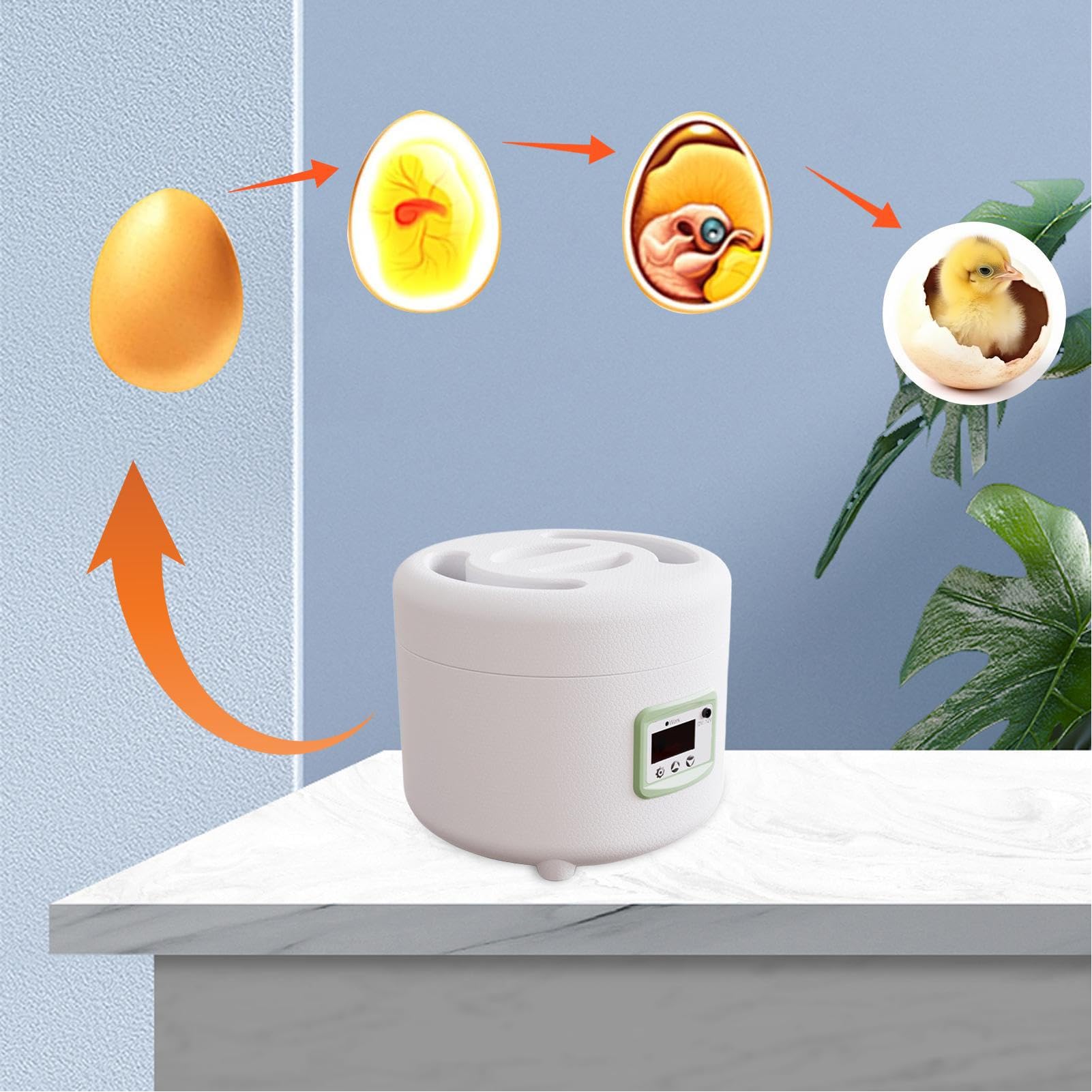 Incubatrice per incubazione di uova - Tornitore automatico ' controllo digitale della temperatura | Pollame per pollo, uova di quaglia, capacità da 9 a 10 uova, display a LED,