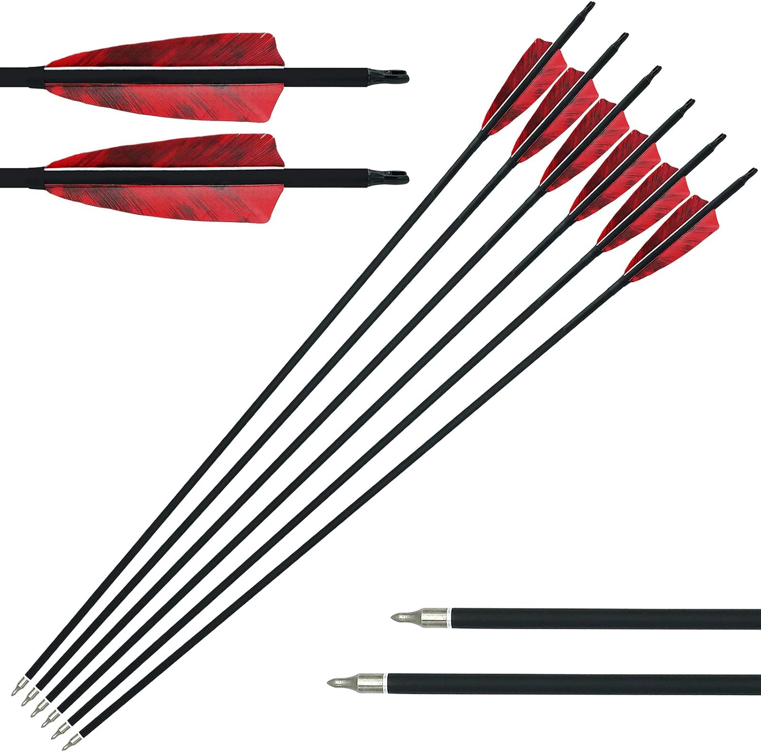 Archery Carbon Arrows 31" Hunting Arrows 500 Spine Arrow with Replaceable Tips Natural Fletching Targeting Practice Arrows for Recurve Bow Compound Bow Traditional Long Bow
