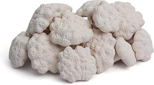 True Atlantic 20 tapones Frag - Tapones de arrecife texturizados para estación Frag Rock - Tapones fragmentadores de hongos para el crecimiento de