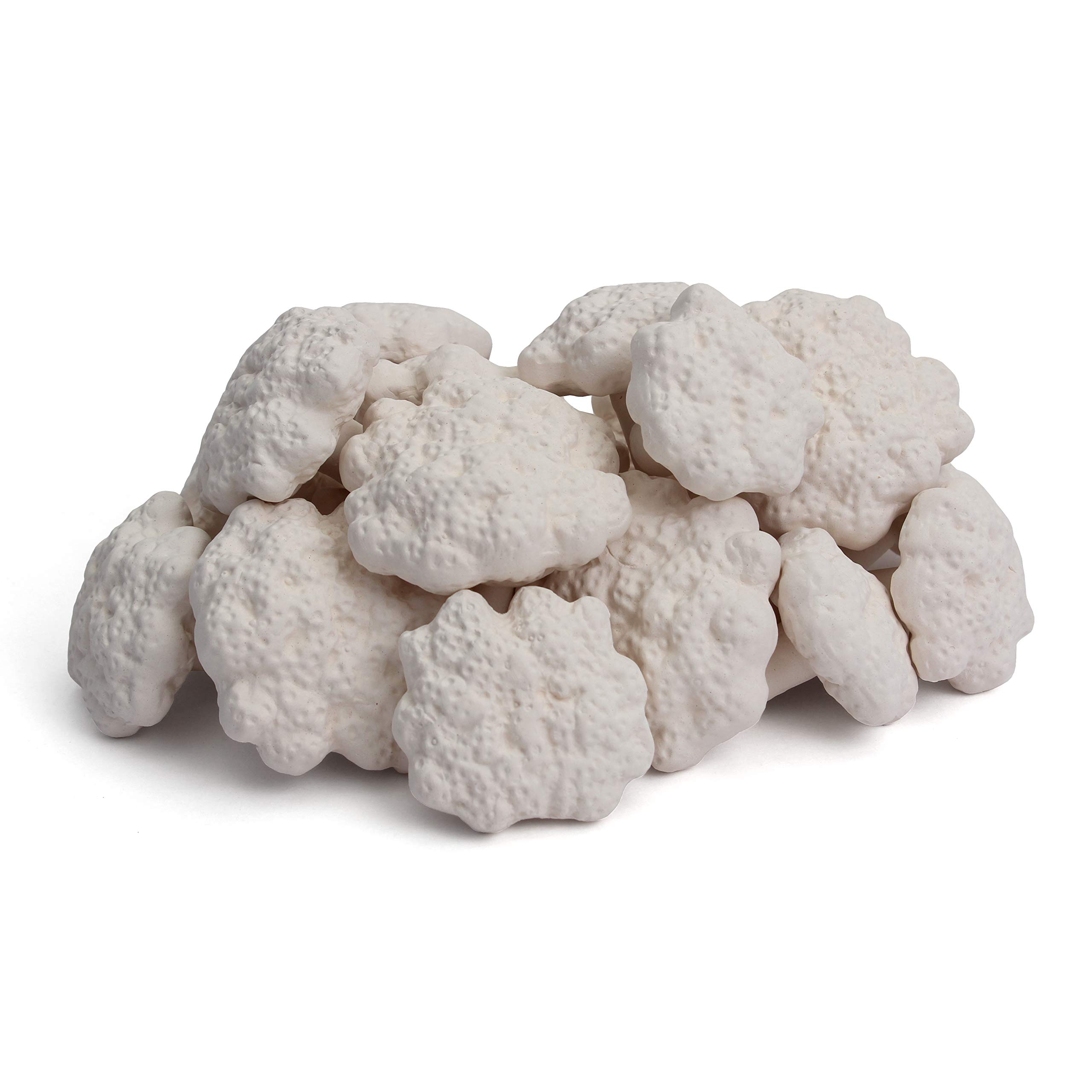 True Atlantic Textured Reef Plugs for Frag Rock Station - Mushroom Fragging Plugs for Coralline Algae Growth