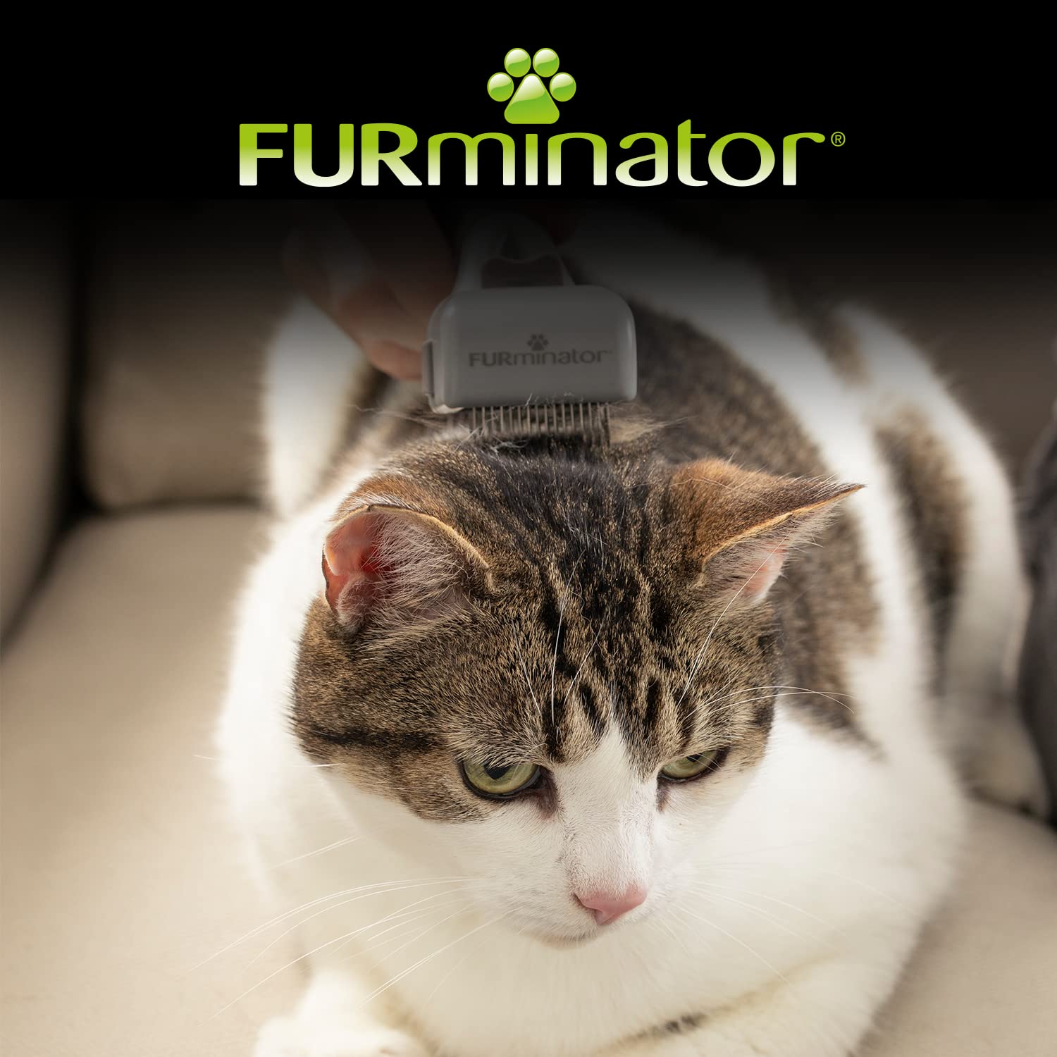 FURminator Dematter para perros y gatos elimina el pelo apelmazado con seguridad y facilidad, transparente