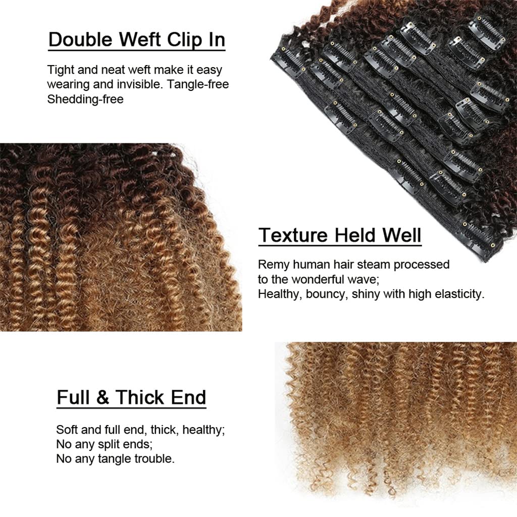 Afro Curly Clip-In Hair Extensions Ombre Human Hair - 10" Natural Black to Medium Brown To Dark Blonde (#1B/4/27)