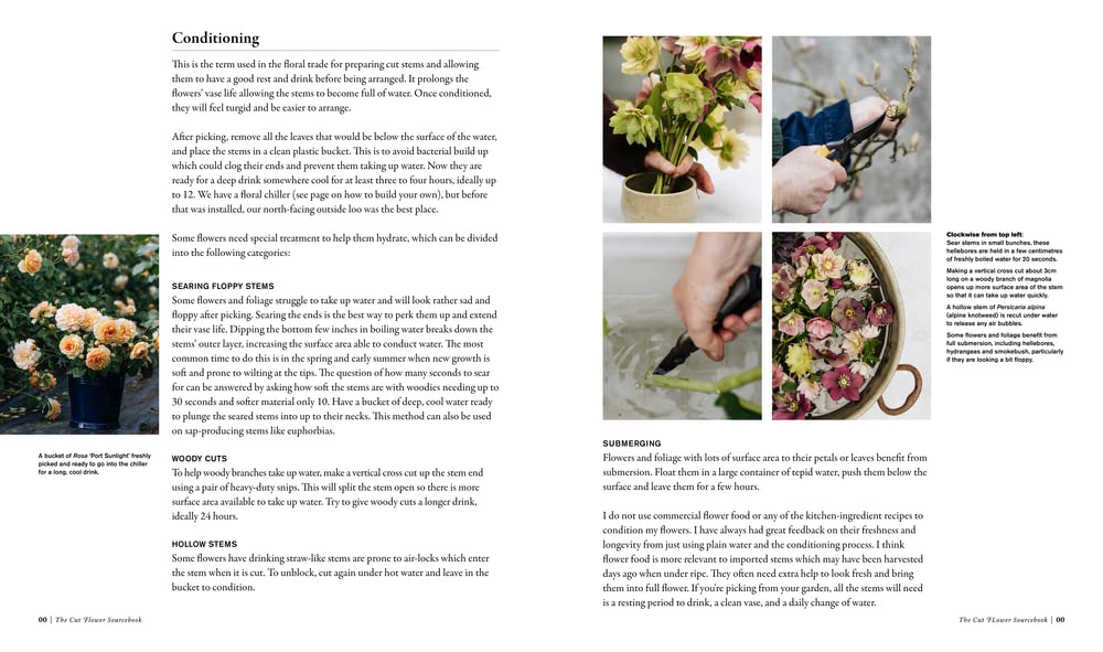 The Cut Flower Sourcebook: Exceptional Perennials & Woody Plants for Cutting