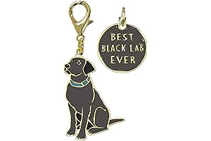 Best Black Lab Ever: A Collector's Version