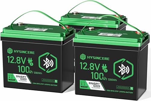 Miniatura 19 de Batería de litio LiFePO4 de 12 V y 100 Ah para motor de arrastre mini, con BMS de 120 A incorporado y protección contra bajas temperaturas, batería