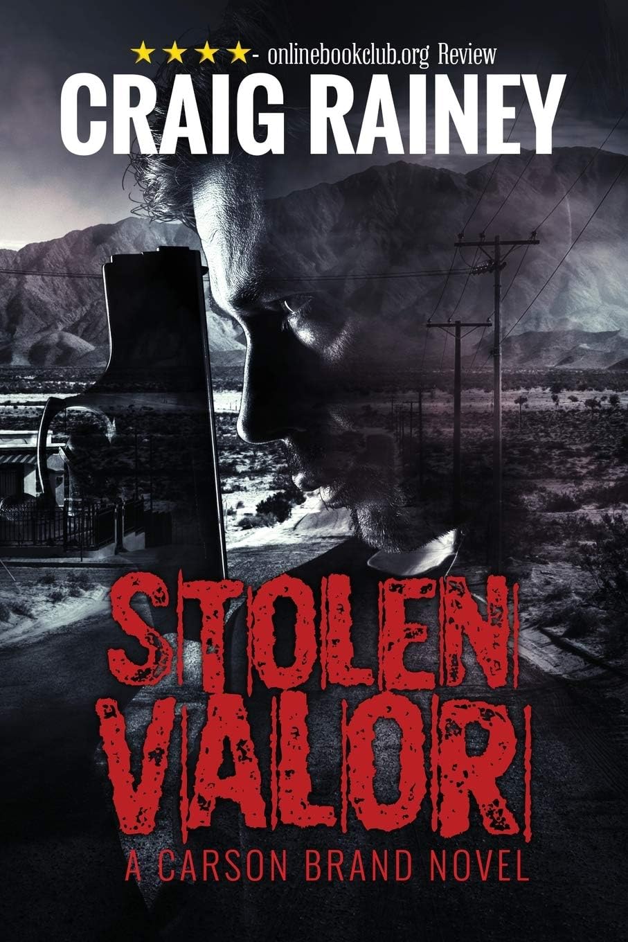 Stolen Valor: A Carson Brand Novel (Carson BrandSeries Book 1)