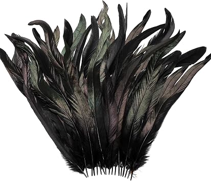 Yuxung Black 100 Pcs Long Natural Rooster Tail Feathers Bulk 12-14