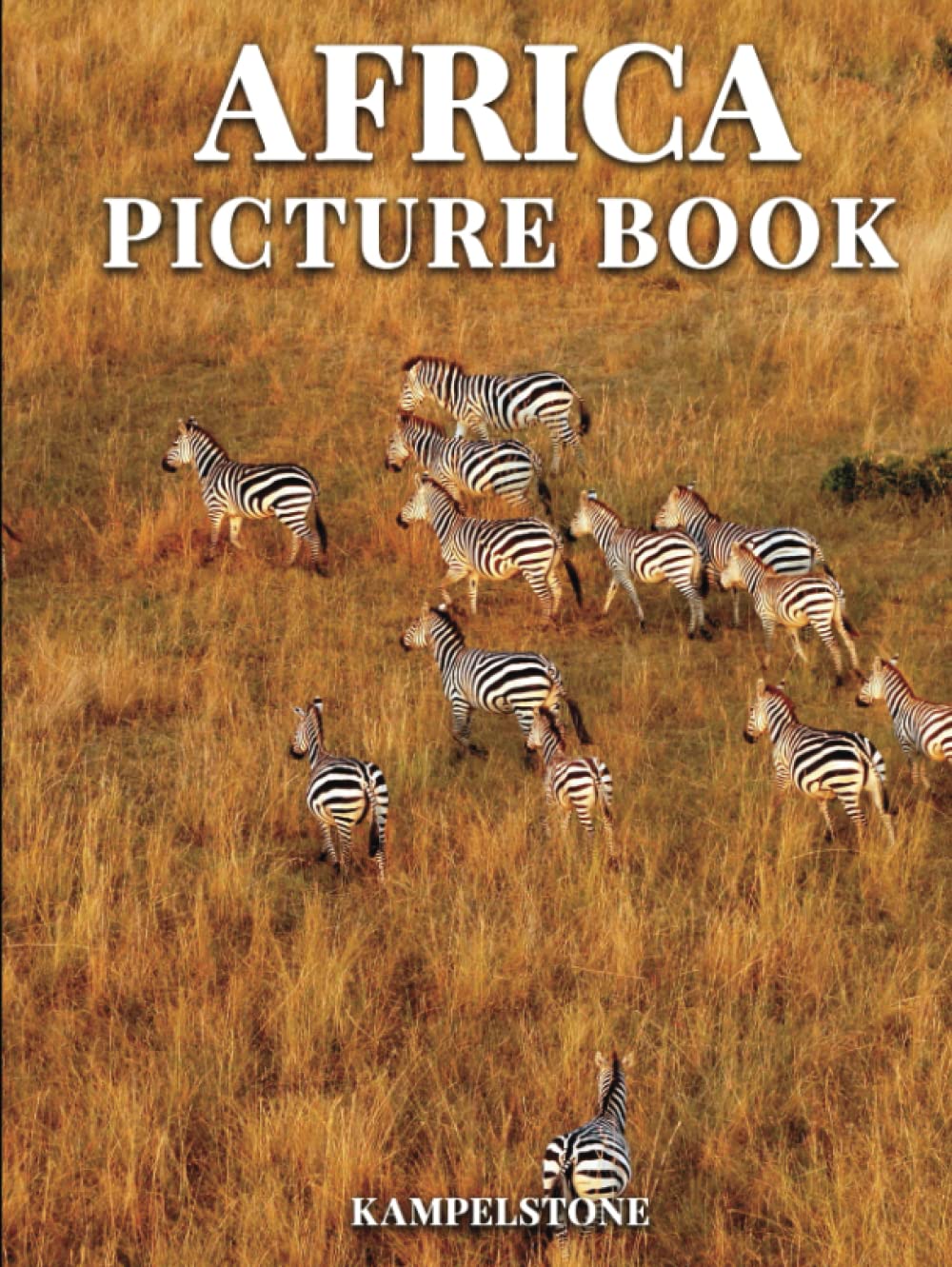 Africa Picture Book: 100 Beautiful Images of Cities, Landscapes, Culture, Wild Animals & More - Hardcover Coffee Table Book