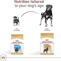 Vista 7 de Royal Canin Breed Health Nutrition Rottweiler Alimento seco para perros adultos, bolsa de 30 libras
