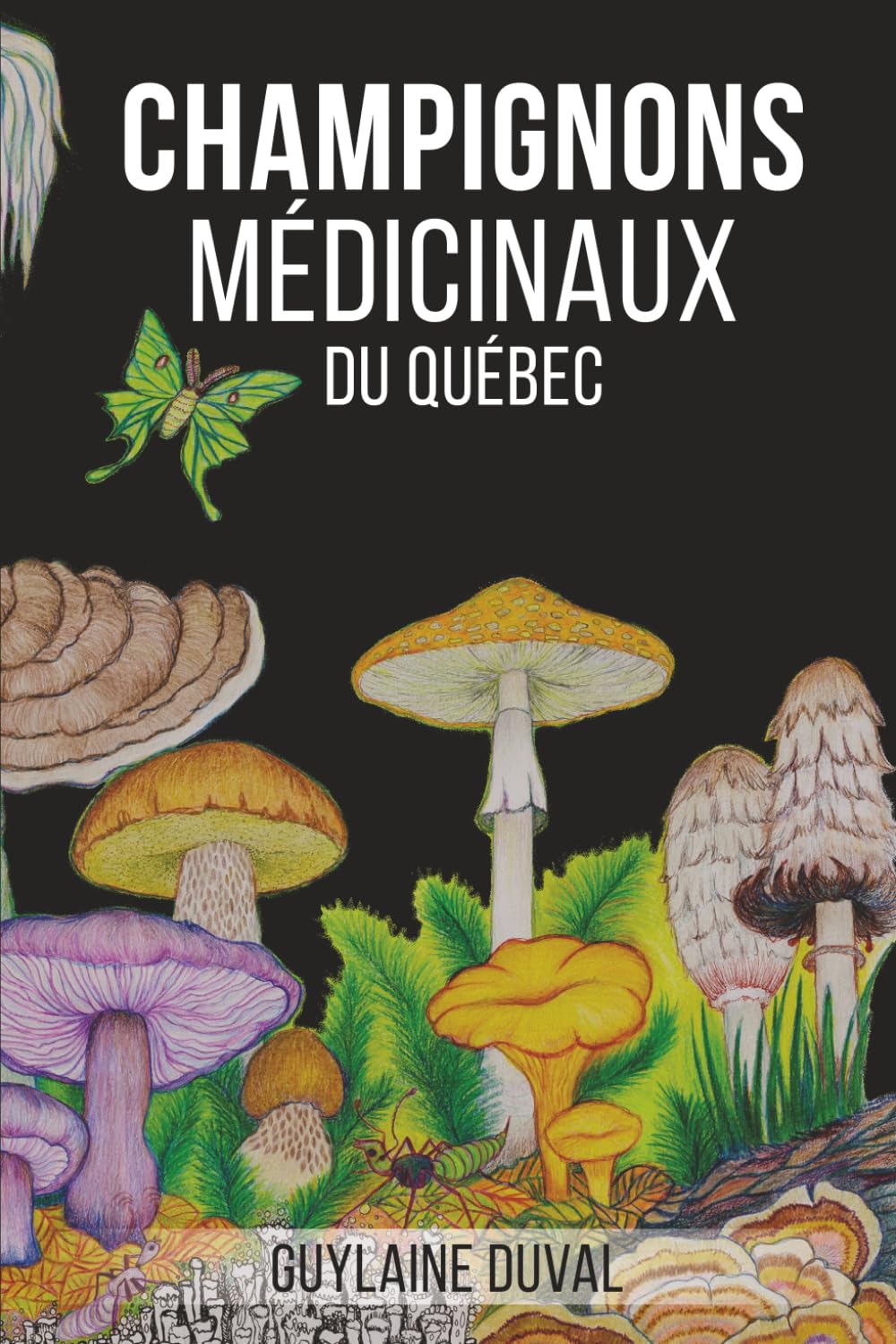 Champignons Médicinaux du Québec