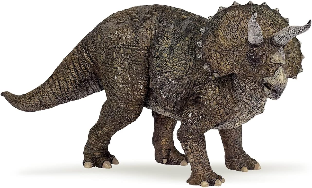 The Dinosaur Figure, Triceratops