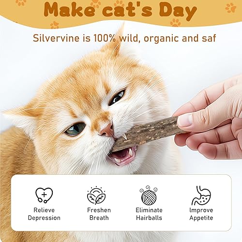 Miniatura 3 de WoLover Silvervine - Palitos para gatos, palitos naturales de hierba gatera Matatabi masticar dientes molar juguetes para gatos gatitos (25 piezas)