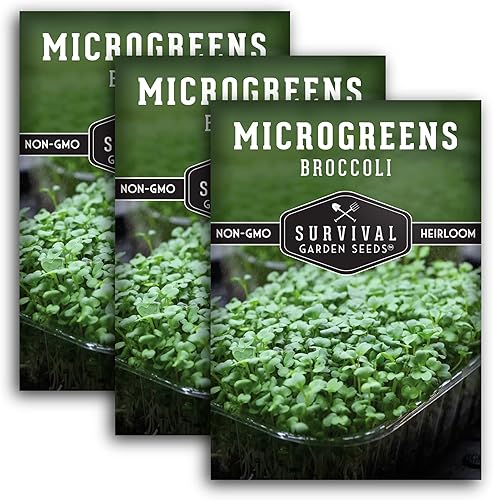 Miniatura 13 de 1 paquete de semillas de microgreens de brócoli para plantar y cultivar – Planta plantas de microvegetales de hoja verde en interiores – Cultiva tu