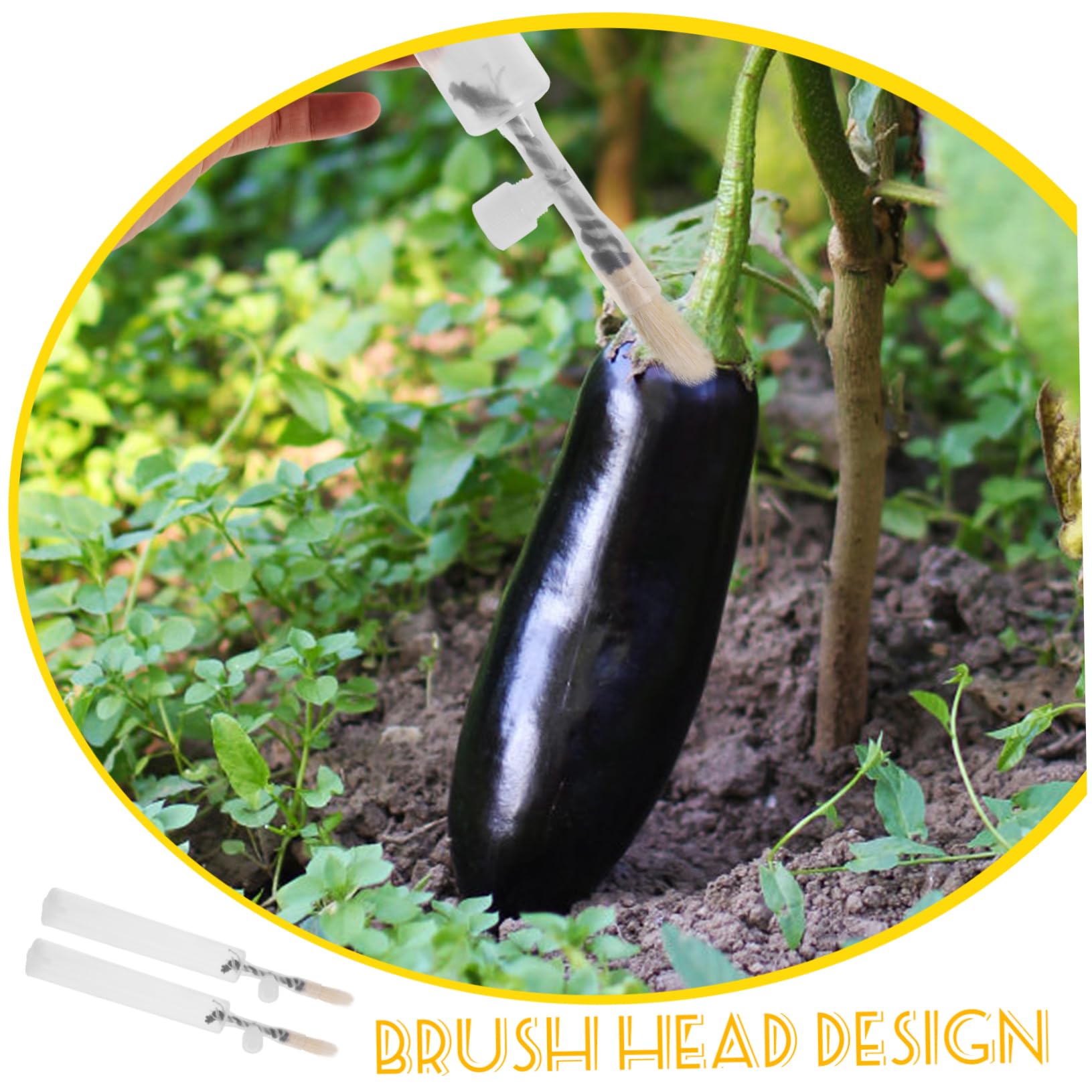 ibasenice 4 Ensembles Outil De Pollinisation De Jardin Applicateur De Pollinisation pour Légumes Fruits Et Fleurs Outils De Jardinage Efficaces pour Augmenter Rendements 2 Pièces * 4