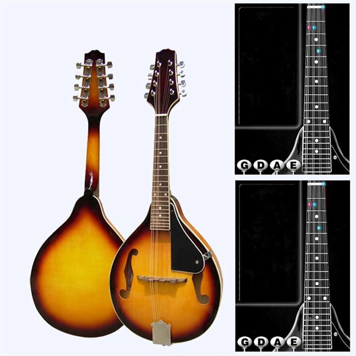 グラスランド フラットマンドリン ショップ グラスランド フラット