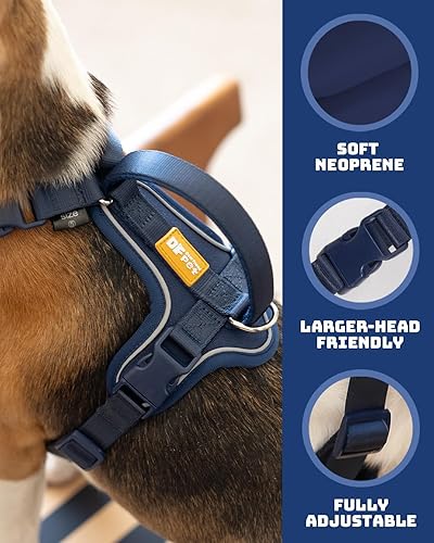 Miniatura 3 de DF Juego de arnés Martingale para perro resistente y correa ajustable, a prueba de escapes, arnés de ajuste totalmente personalizable con clip