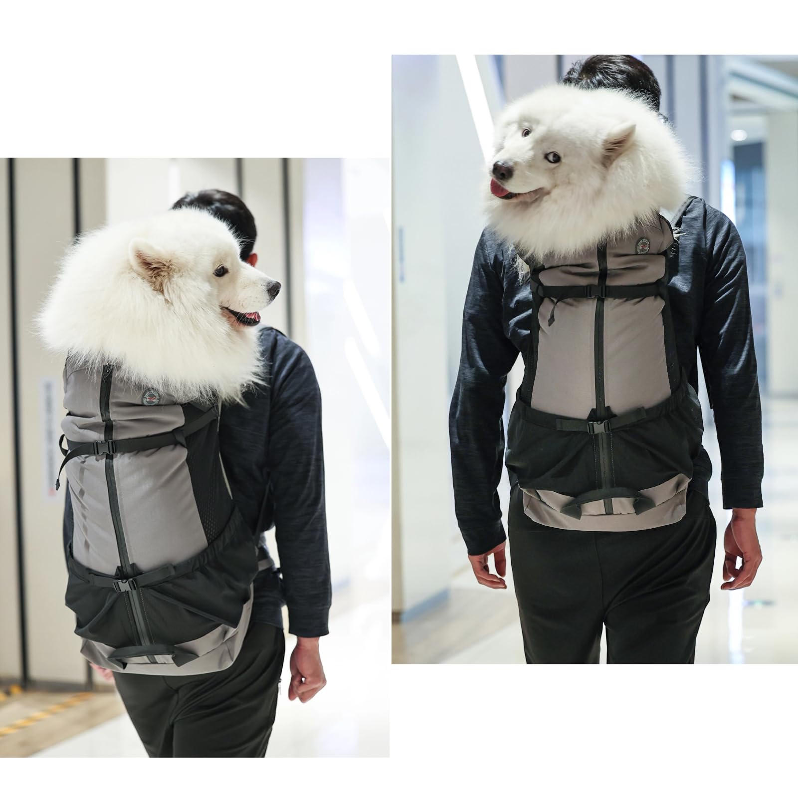 Hunderucksack bis 35kg – Belüfteter & Wasserdichter Haustier-Rucksack für Große Hunde, Ergonomischer Wanderrucksack mit Sicherheitsleine für Outdoor, Fahrrad & Camping