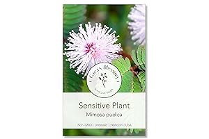 Gaea's Blessing Seeds: Sensitive Plant Seeds for a Thrilling Gardening Experience
